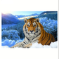 Tiger  | Full Round Diamond Painting Kits